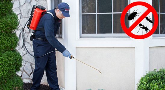 Kazımkarabekir Dezenfeksiyon böcek ilaçlama ve haşere kontrolü — ilaclama-tr.com